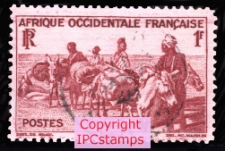 Transport � dos d'�ne au S�n�gal.