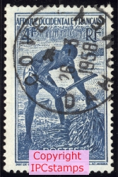 Engreneur de palmiers au Dahomey.